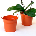 6 1/2" Orange Painted Pail w/ Dual Side Handles